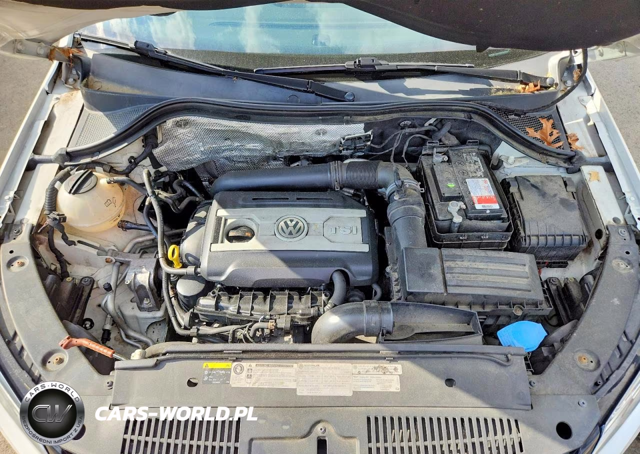2013 Volkswagen Tiguan S VIN:WVGBV3AX9DW619444 - 12