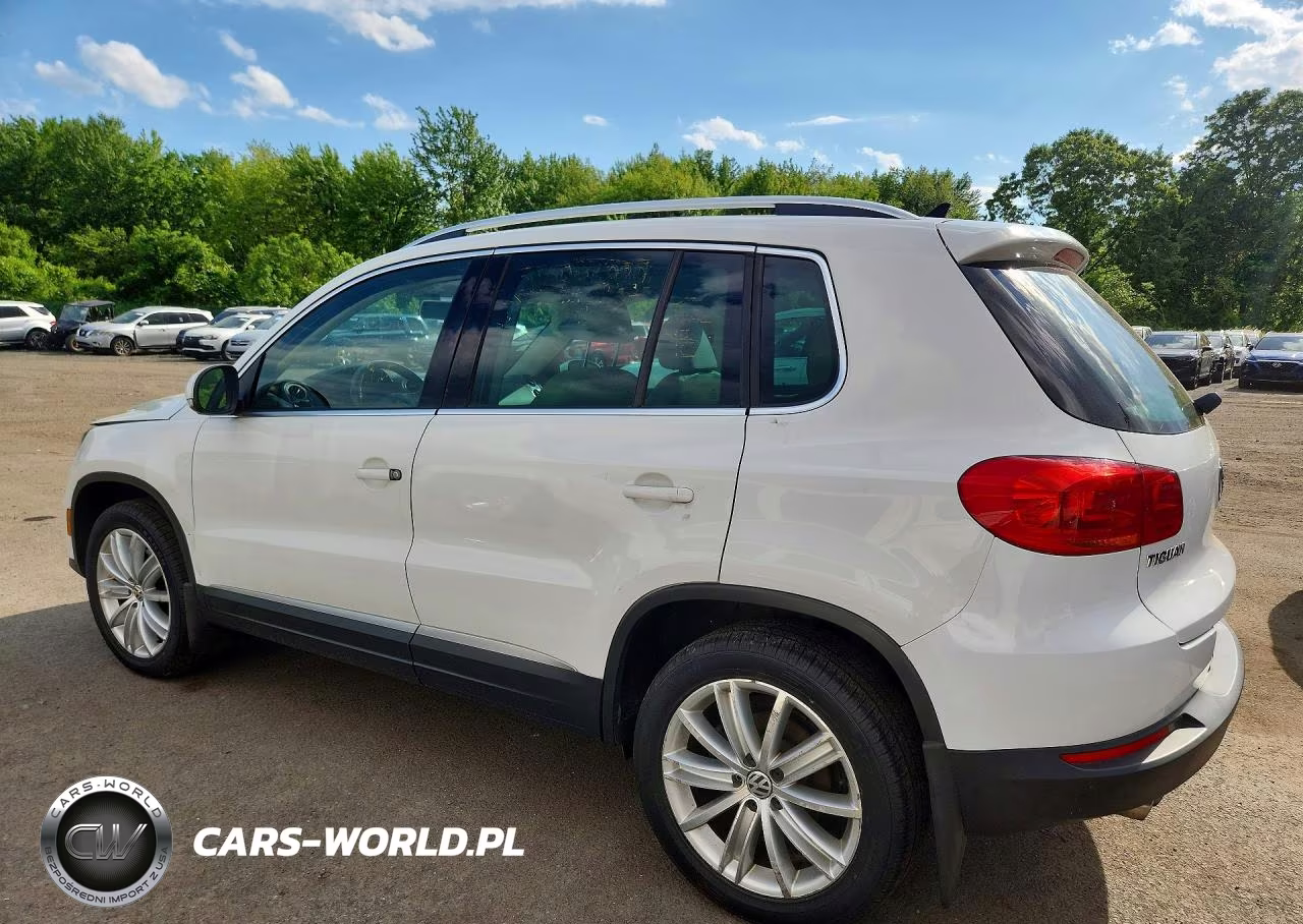 2013 Volkswagen Tiguan S VIN:WVGBV3AX9DW619444 - 2
