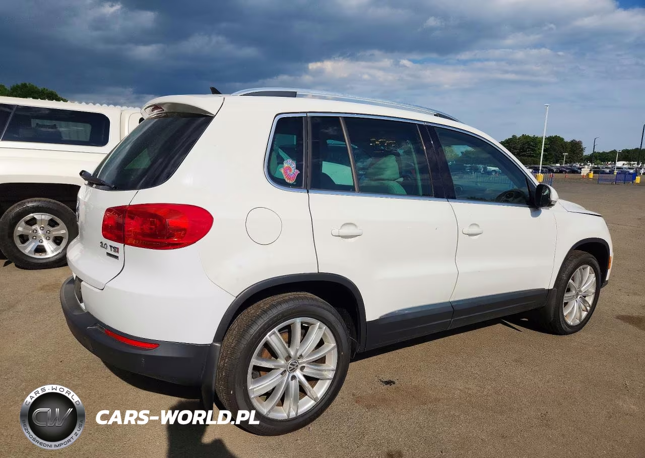 2013 Volkswagen Tiguan S VIN:WVGBV3AX9DW619444 - 3