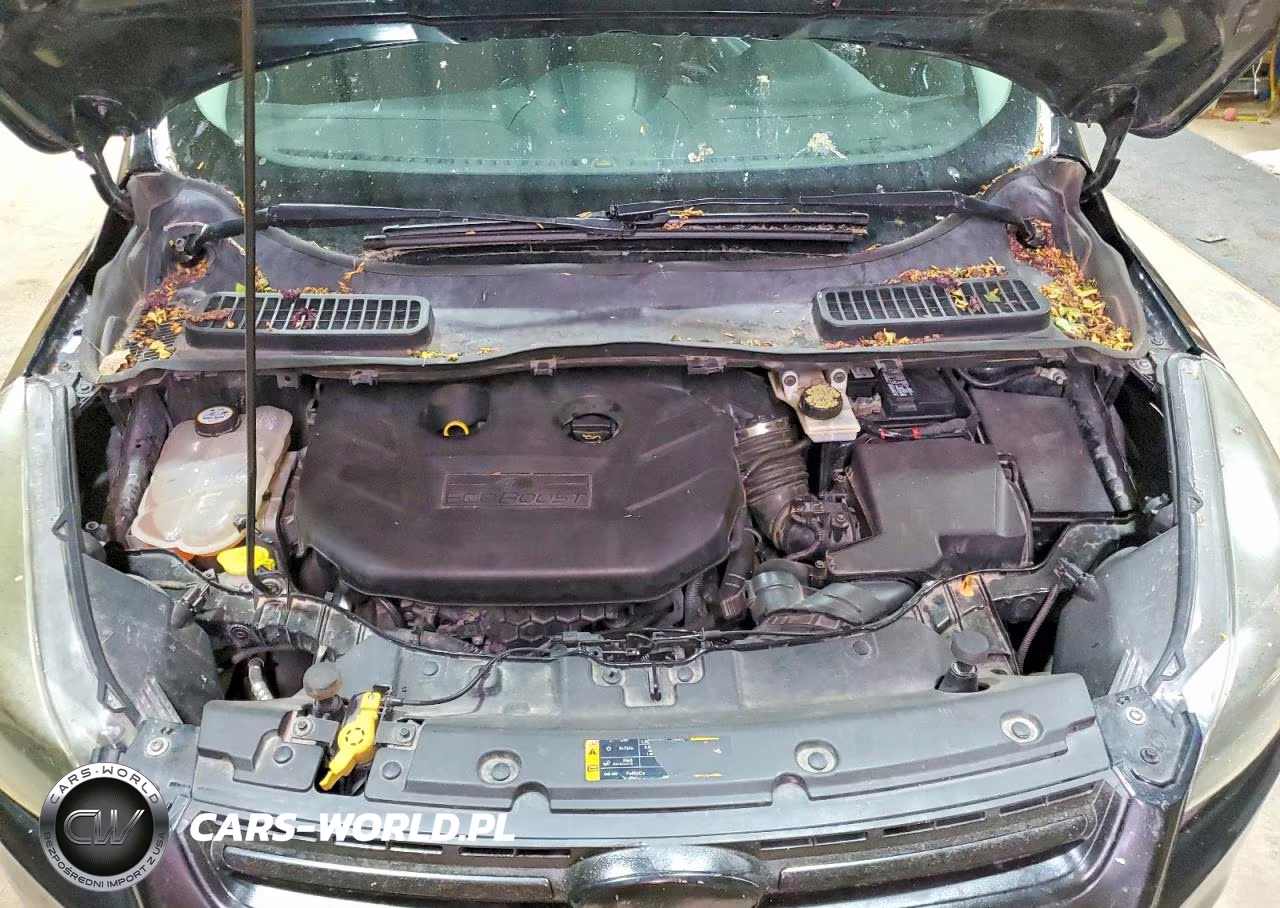 2013 Ford Escape Se VIN:1FMCU9G97DUD19660 - 12