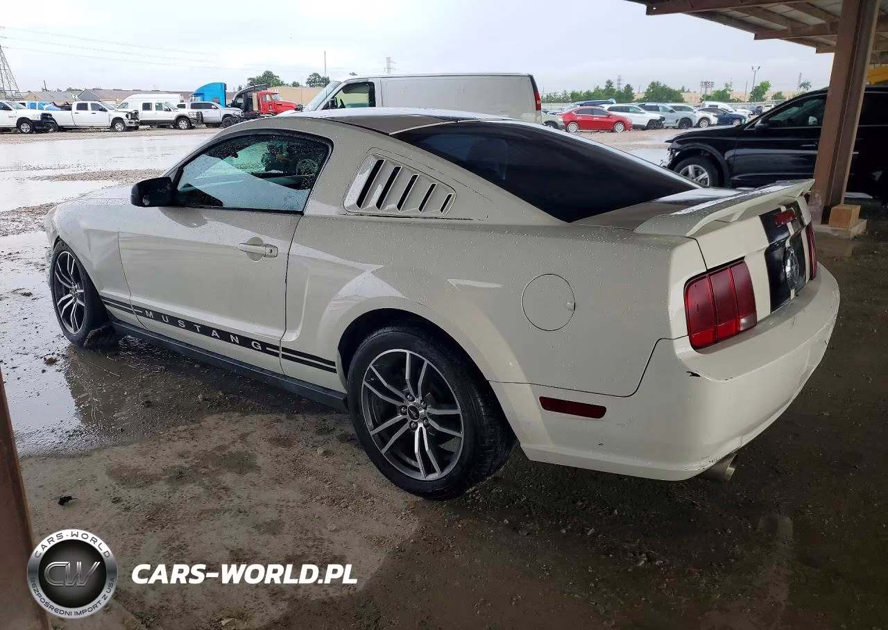 2008 Ford Mustang VIN:1ZVHT80N985115437 - 2
