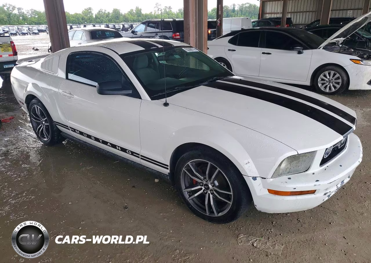 2008 Ford Mustang VIN:1ZVHT80N985115437 - 4