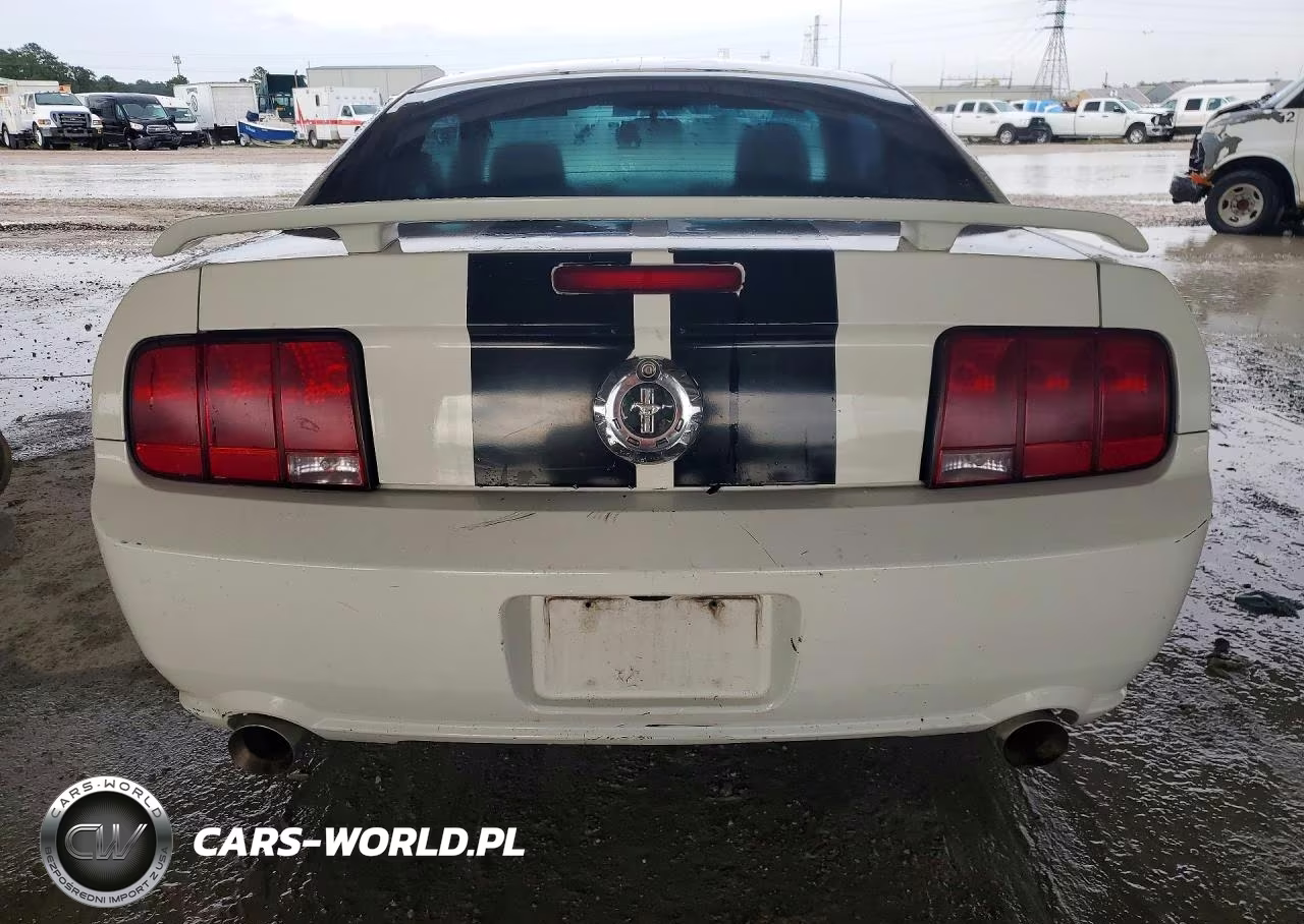 2008 Ford Mustang VIN:1ZVHT80N985115437 - 6