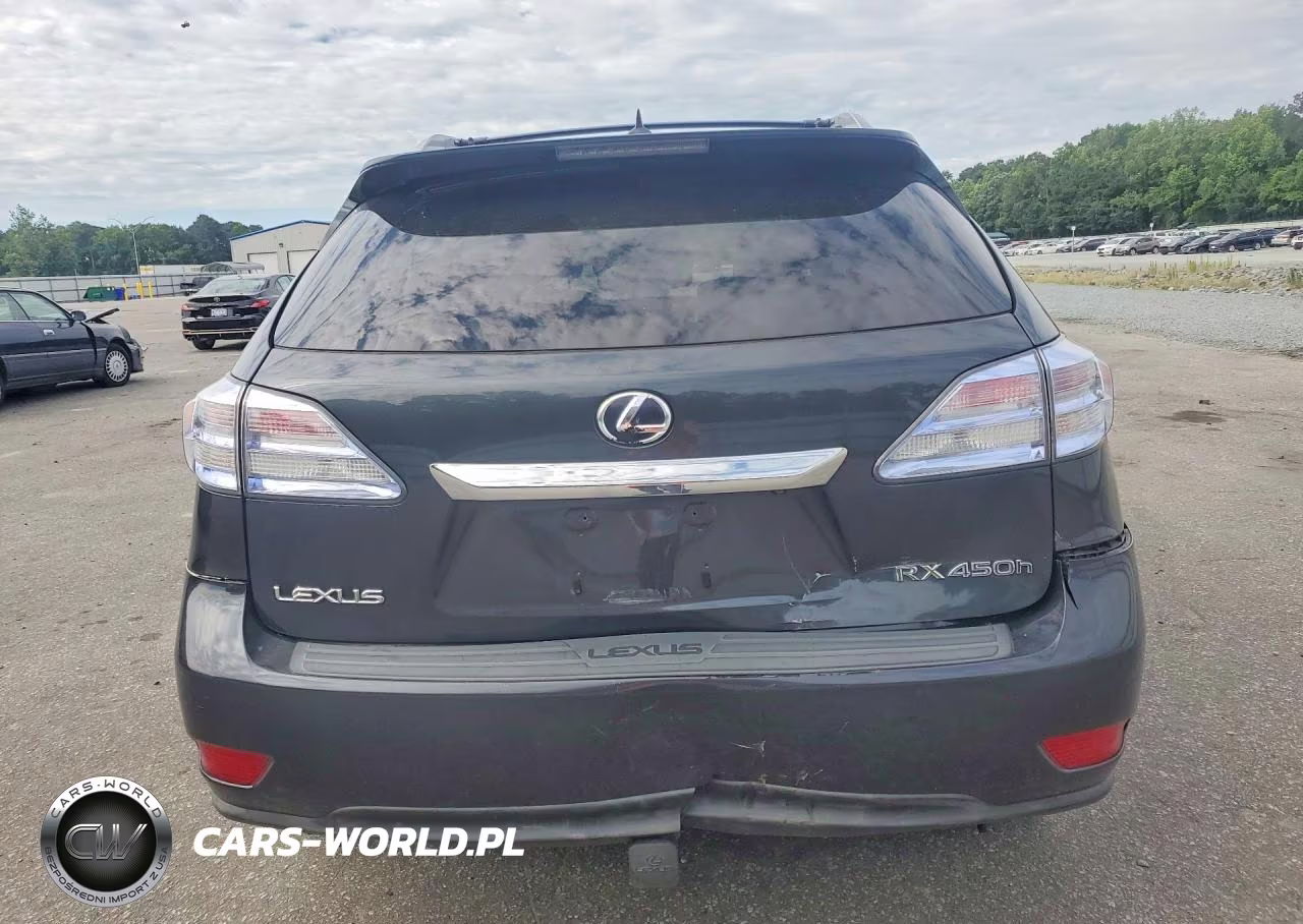 2010 Lexus Rx 450H VIN:JTJBC1BA9A2018494 - 6