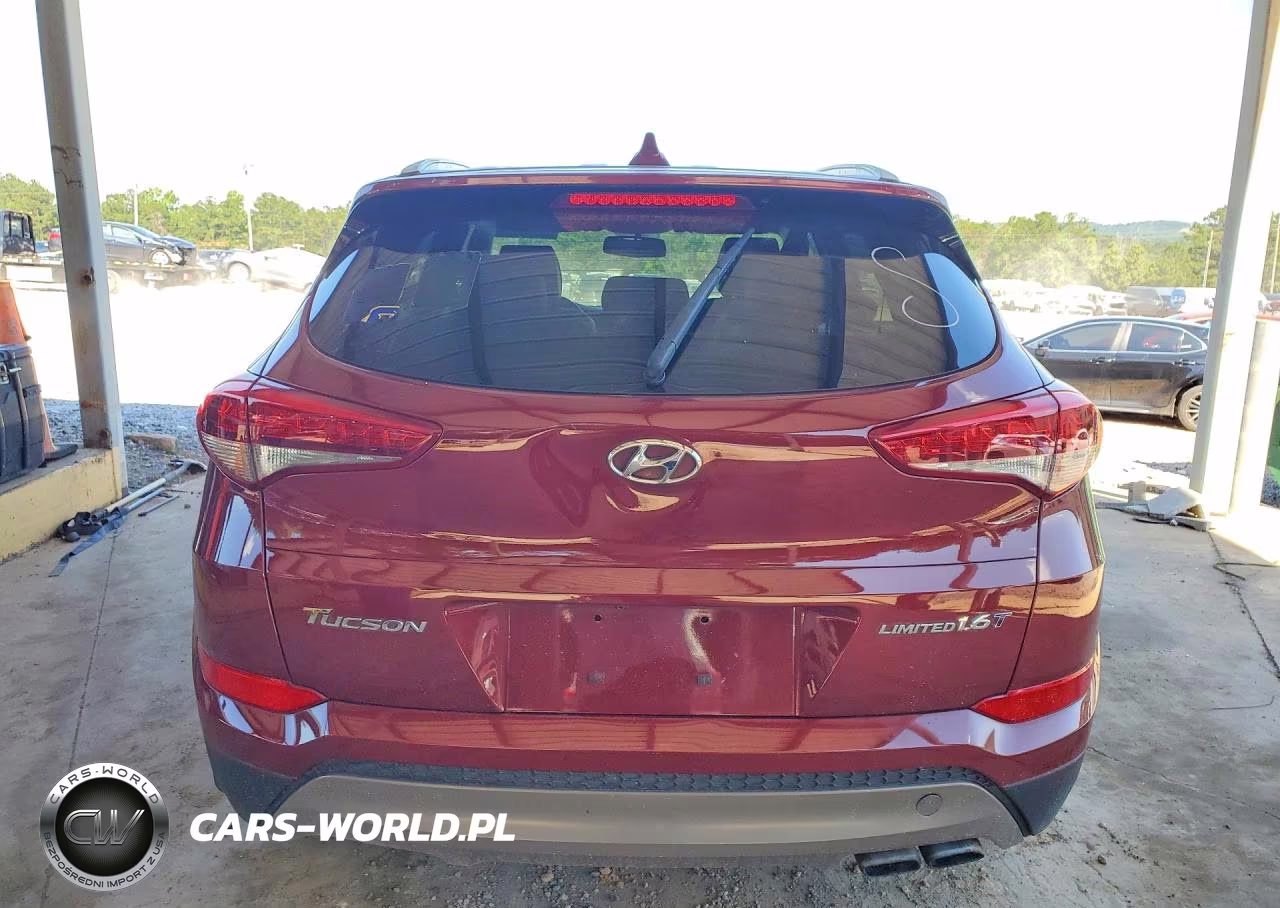 2018 Hyundai Tucson Limited VIN:KM8J33A2XJU819309 - 6