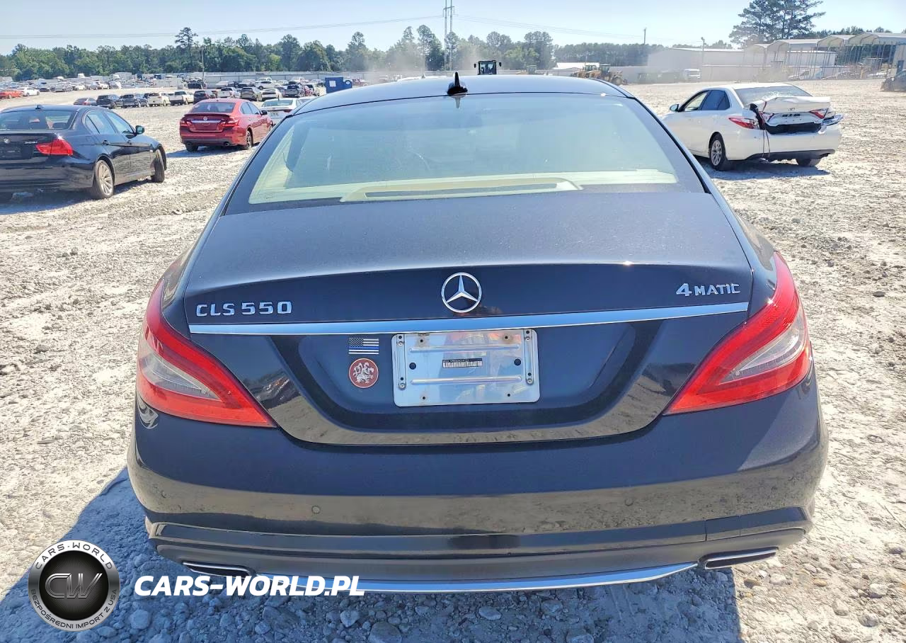2013 Mercedes-Benz Cls 550 4Matic VIN:WDDLJ9BB0DA064123 - 6