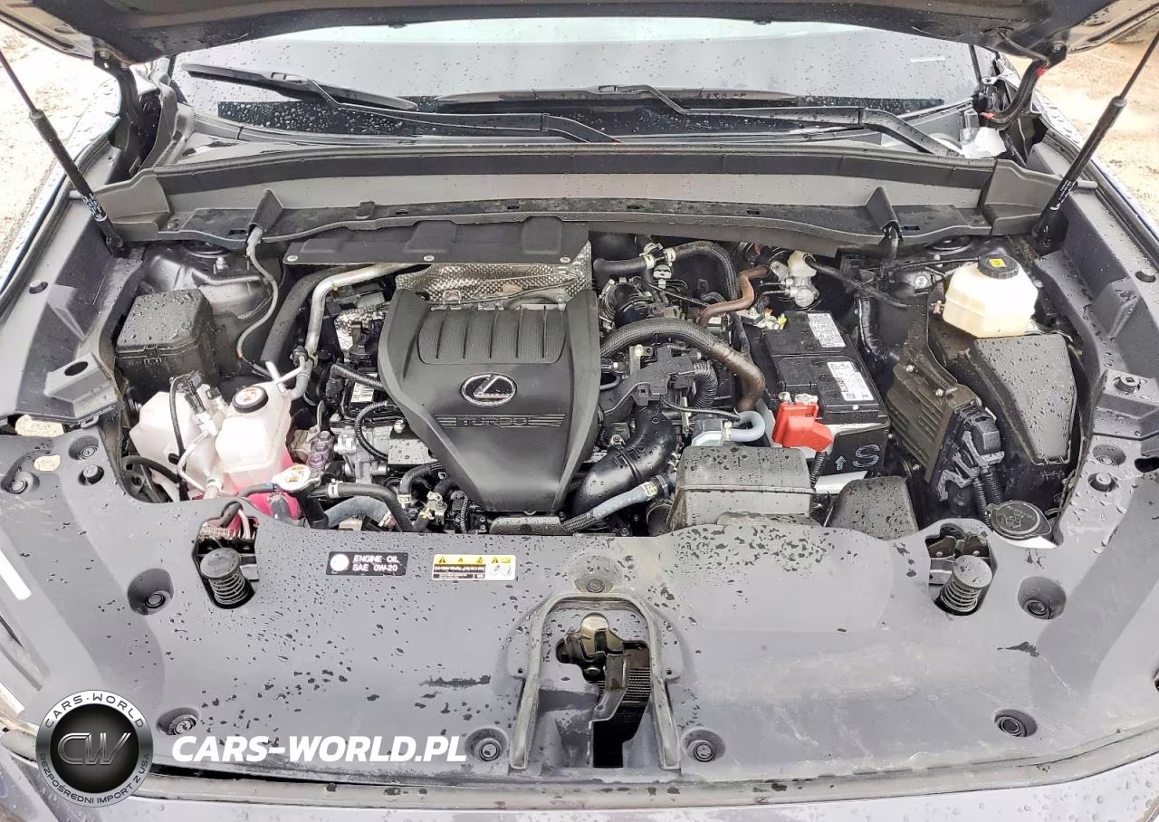 2025 Lexus Tx 350 Luxury VIN:5TDAAAB63SS027623 - 12