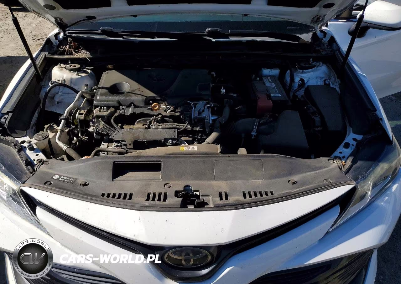 2019 Toyota Camry Le VIN:4T1B11HK4KU243996 - 11