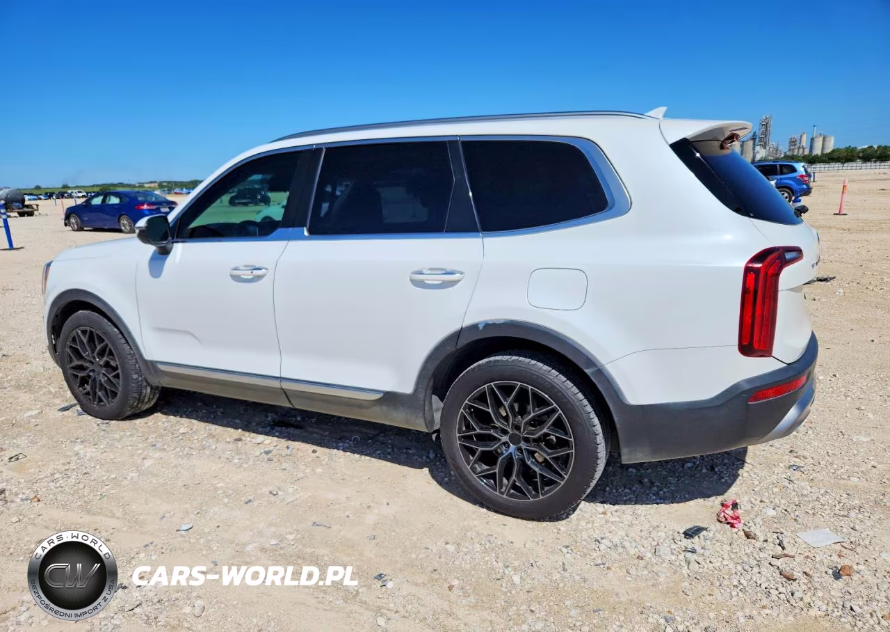 2020 Kia Telluride S VIN:5XYP64HC4LG003498 - 2