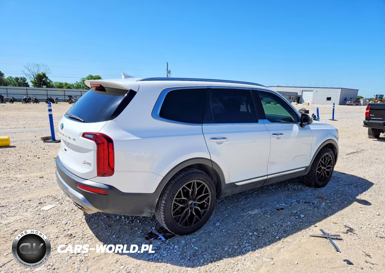 2020 Kia Telluride S VIN:5XYP64HC4LG003498 - 3