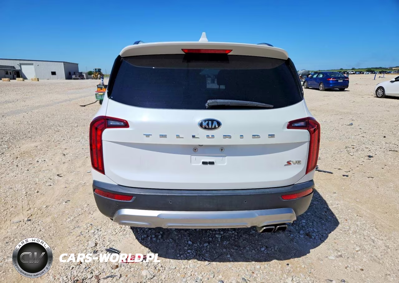 2020 Kia Telluride S VIN:5XYP64HC4LG003498 - 6
