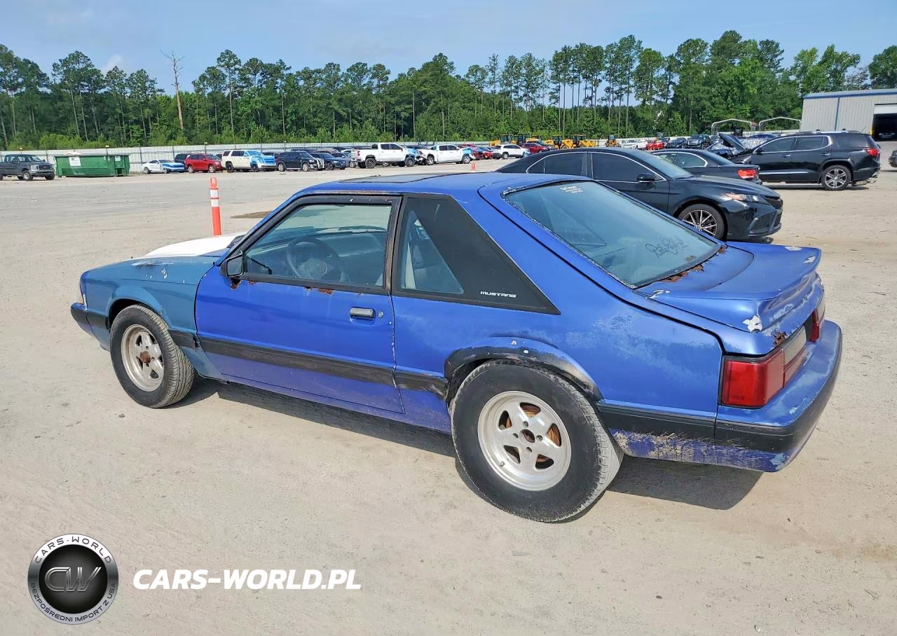 1989 Ford Mustang Lx VIN:1FABP41E9KF187153 - 2