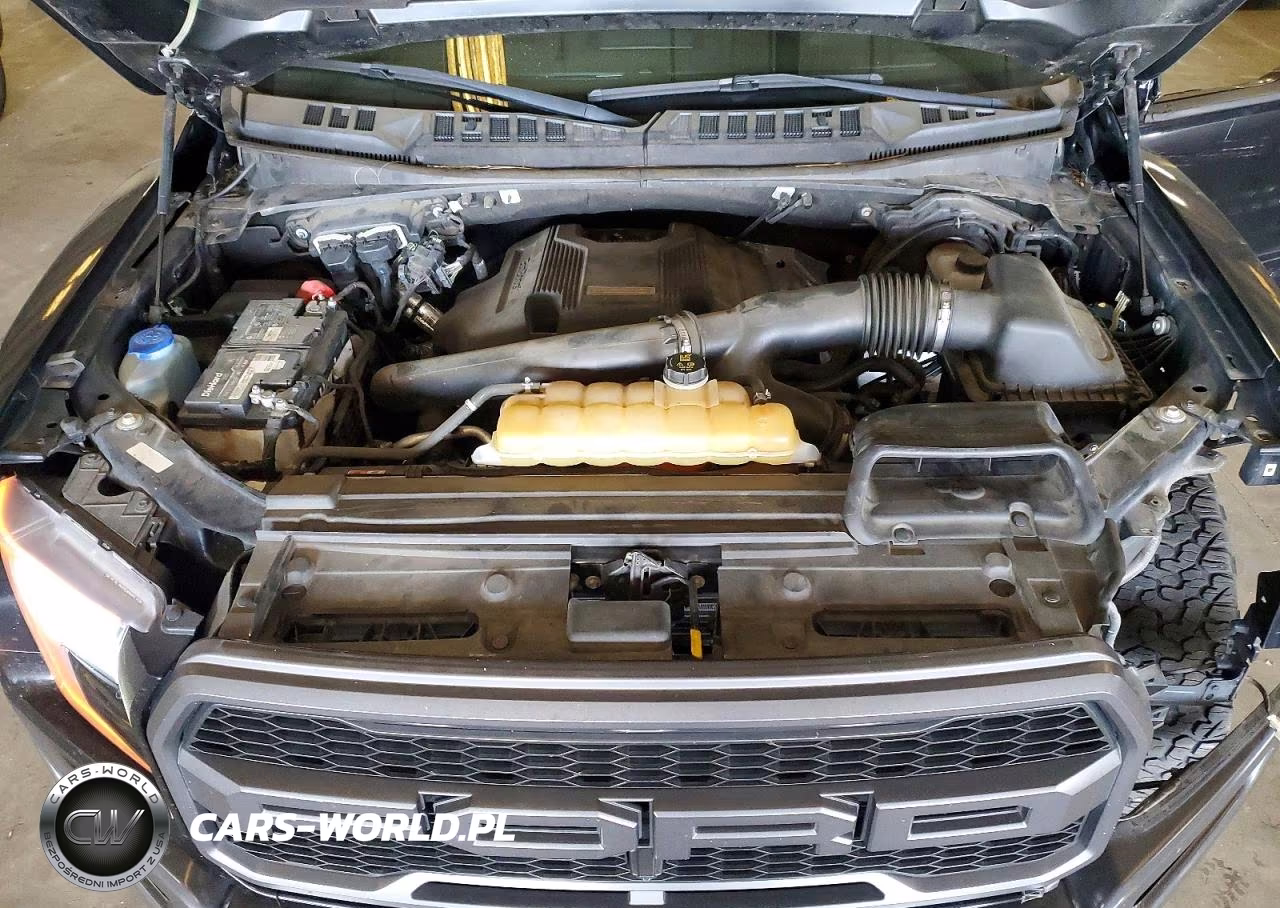 2018 Ford F150 Raptor VIN:1FTFW1RG9JFB81015 - 11