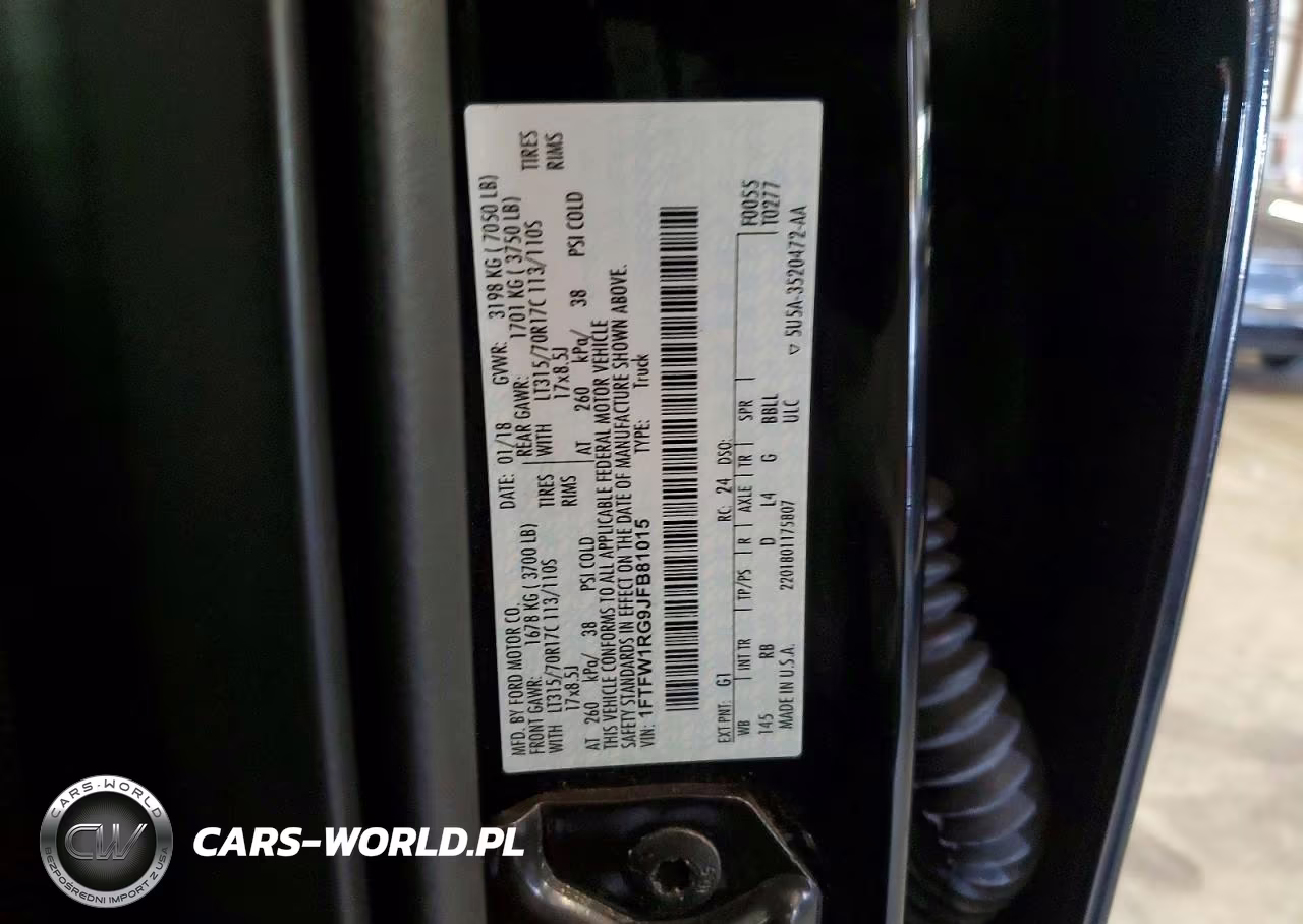 2018 Ford F150 Raptor VIN:1FTFW1RG9JFB81015 - 13