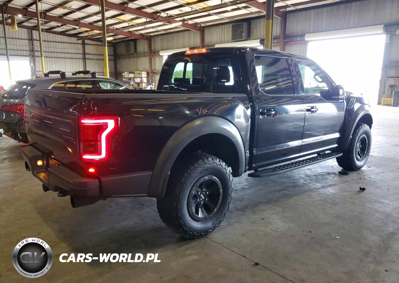 2018 Ford F150 Raptor VIN:1FTFW1RG9JFB81015 - 3