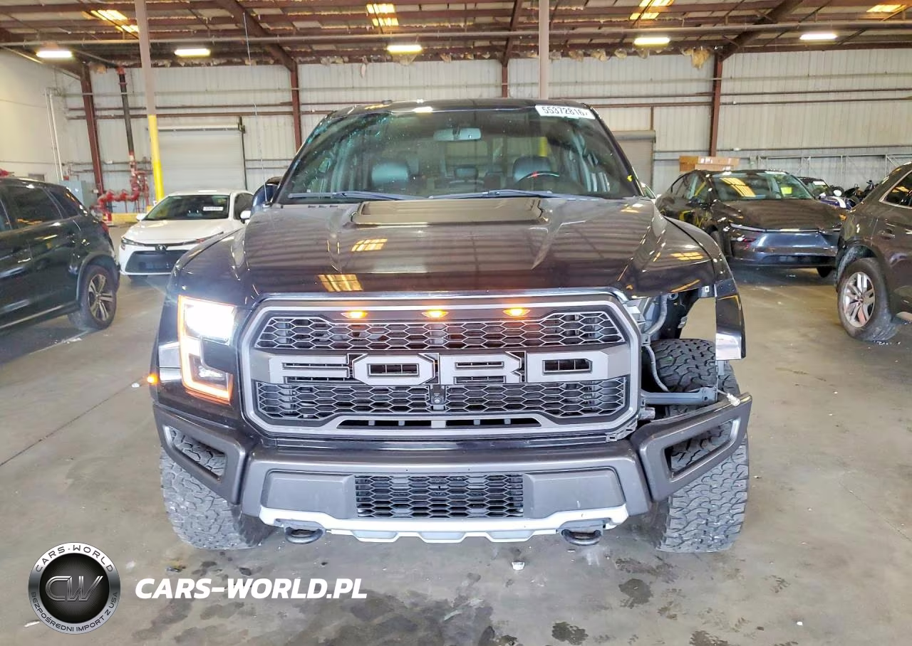 2018 Ford F150 Raptor VIN:1FTFW1RG9JFB81015 - 5
