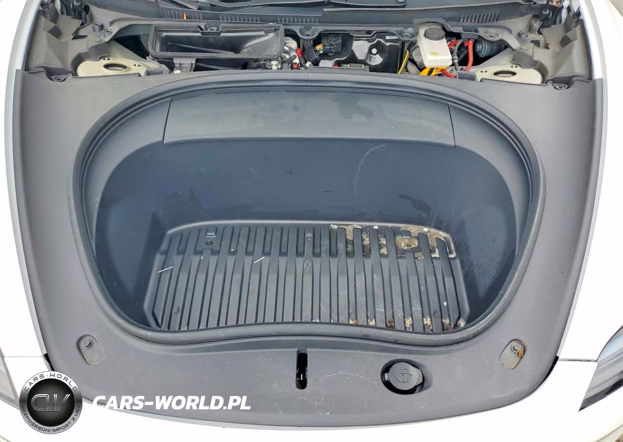 2024 Tesla Model 3 VIN:5YJ3E1EA9RF744085 - 11