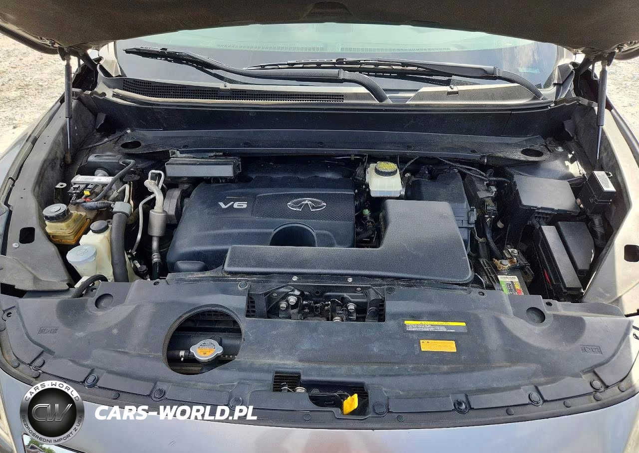 2019 Infiniti Qx60 Pure VIN:5N1DL0MN8KC509667 - 12