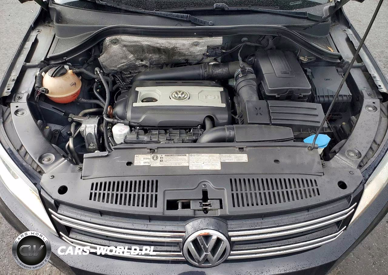 2013 Volkswagen Tiguan S VIN:WVGAV7AX4DW538502 - 12