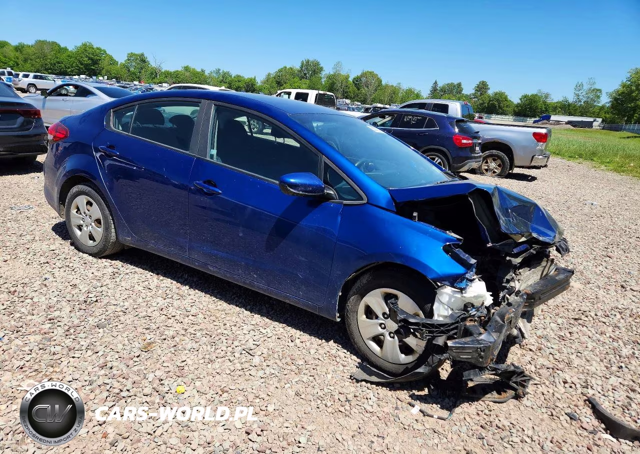 2018 Kia Forte Lx VIN:3KPFK4A73JE245844 - 4