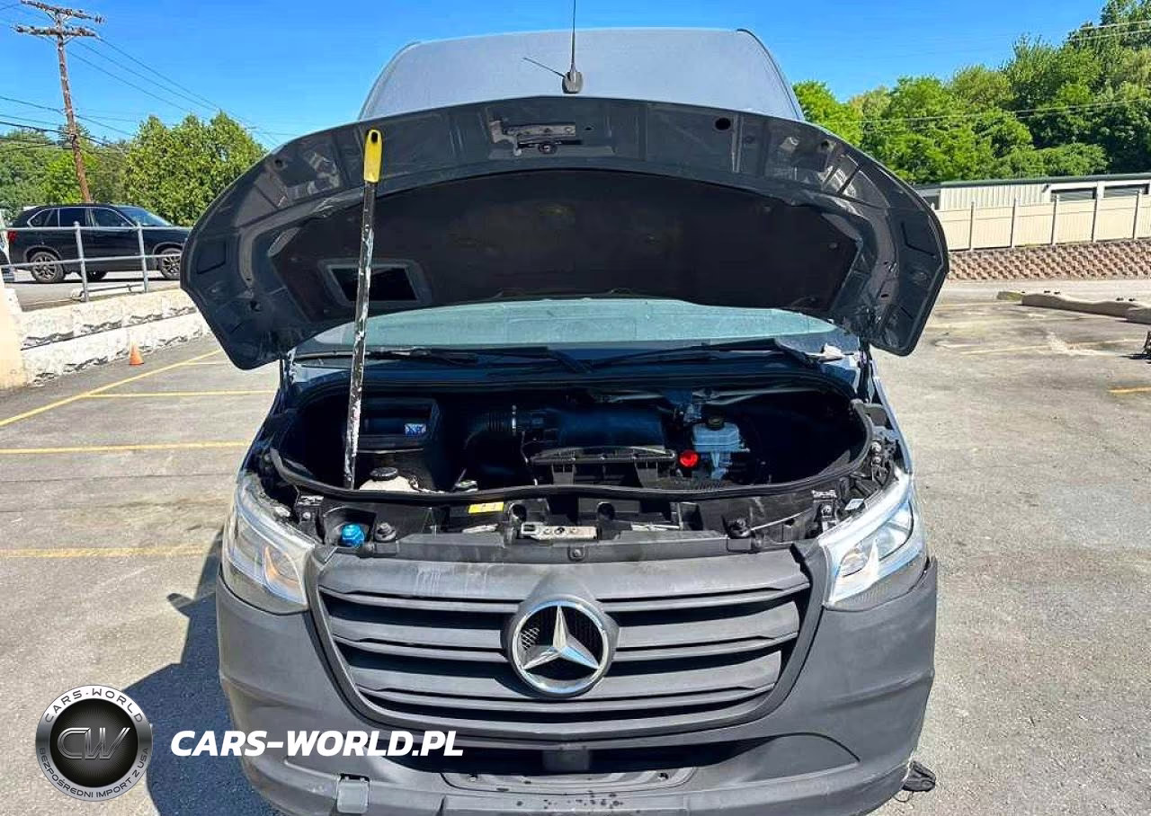 2019 Mercedes-Benz Sprinter 2500 VIN:WD4PF1CD1KP149485 - 9