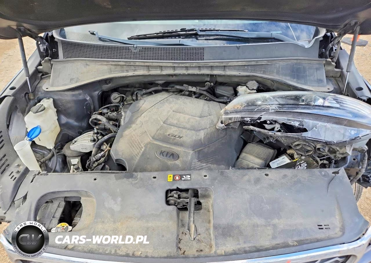 2019 Kia Sorento Ex V6 VIN:5XYPH4A56KG525165 - 11
