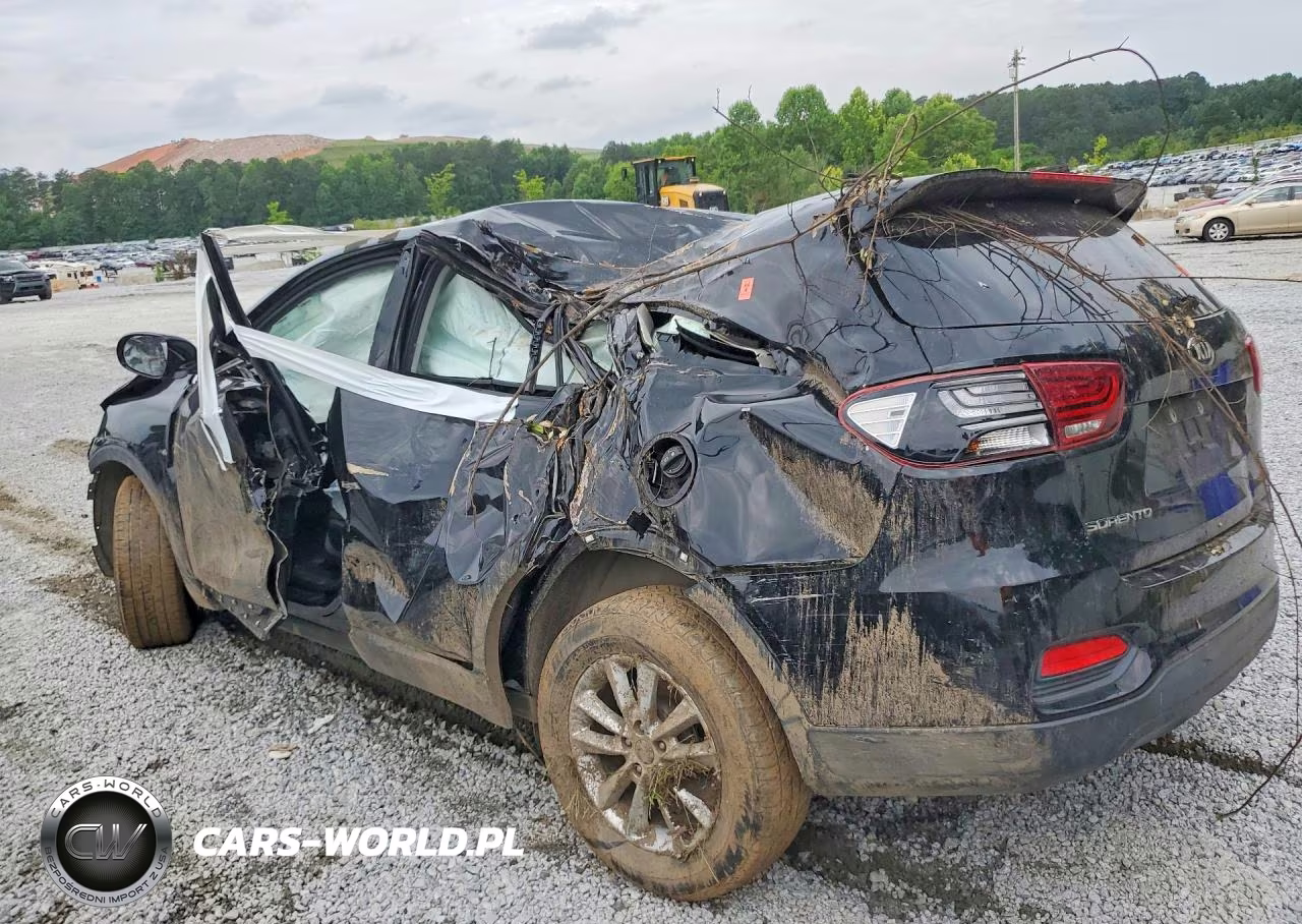 2019 Kia Sorento L VIN:5XYPG4A3XKG582471 - 2