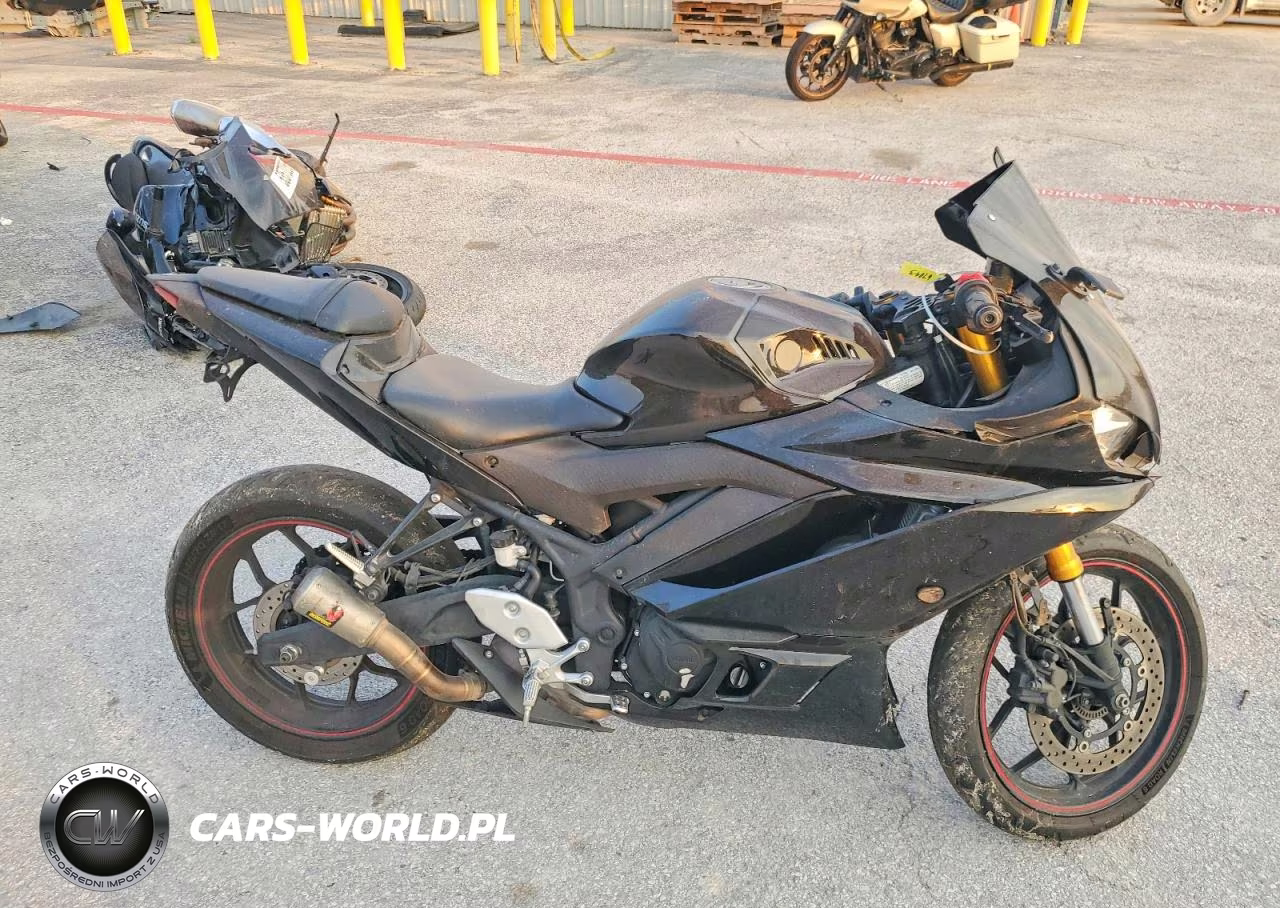 2019 Yama Yzf-R3