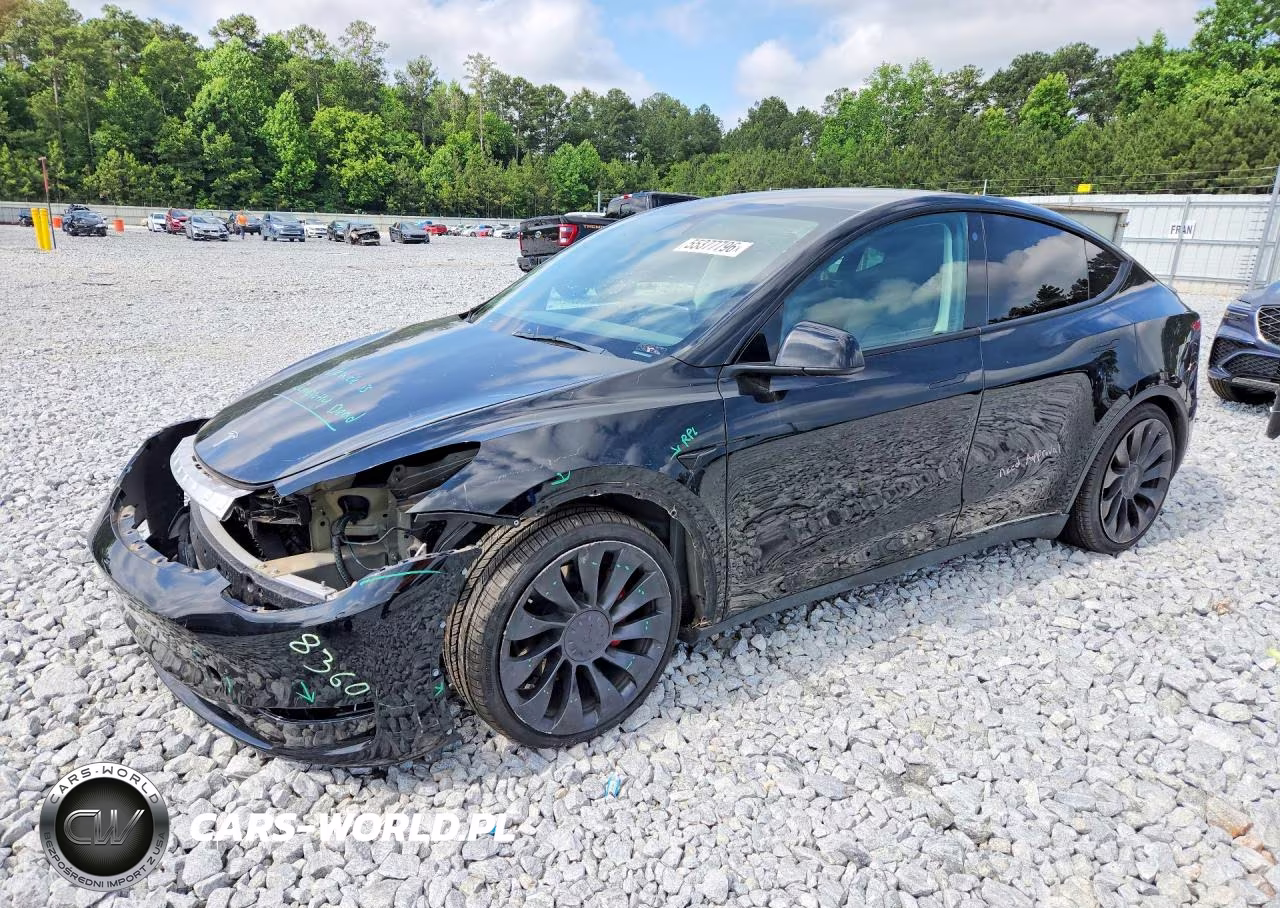 2023 Tesla Model Y VIN:7SAYGDEF8PF753471 - 1