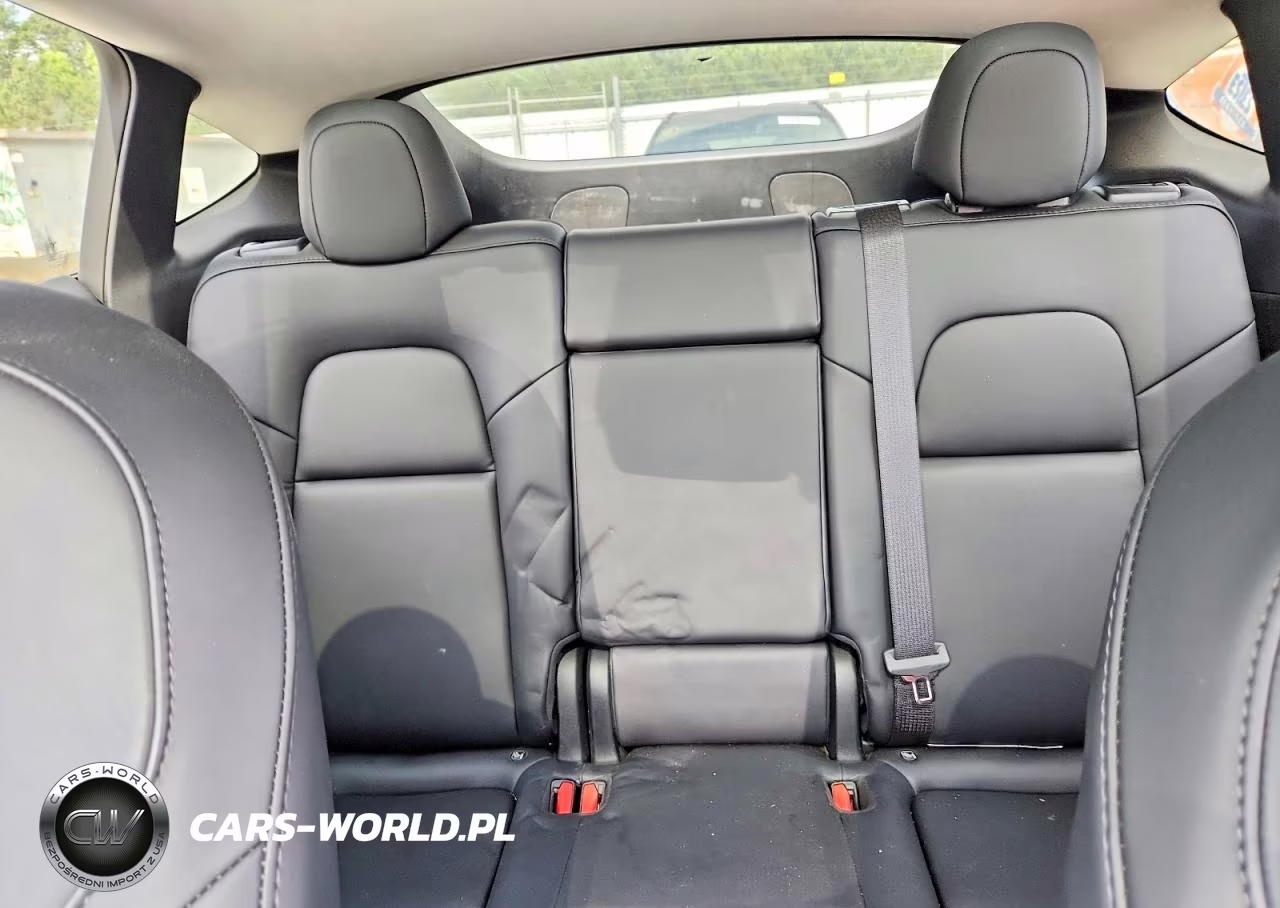 2023 Tesla Model Y VIN:7SAYGDEF8PF753471 - 10