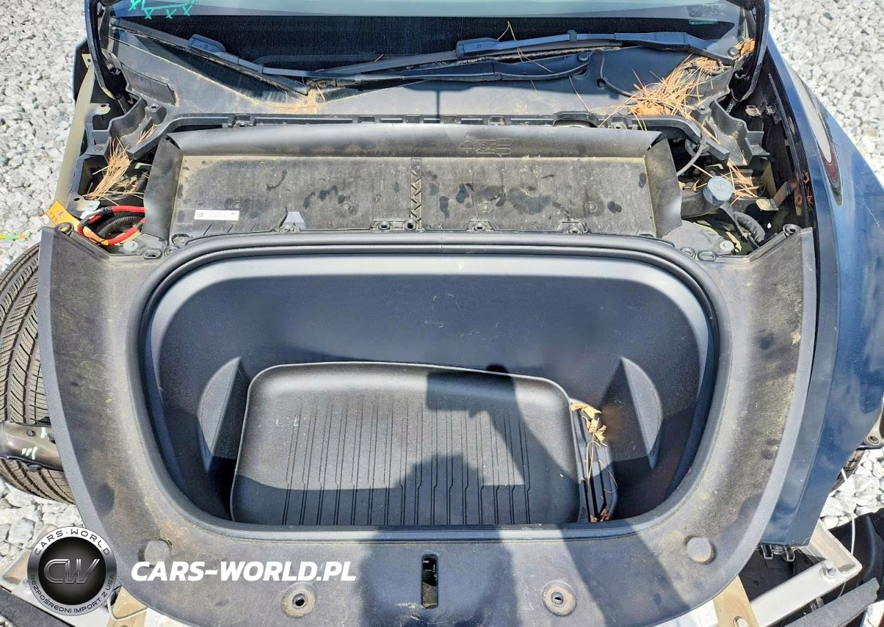 2023 Tesla Model Y VIN:7SAYGDEF8PF753471 - 12