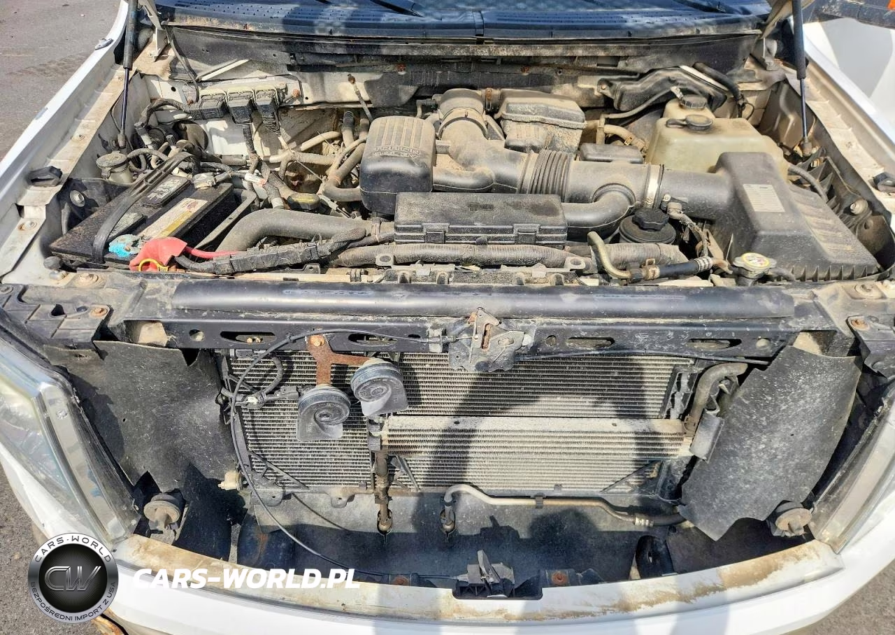 2010 Ford F150 Supercrew VIN:1FTFW1EV7AFB28219 - 11