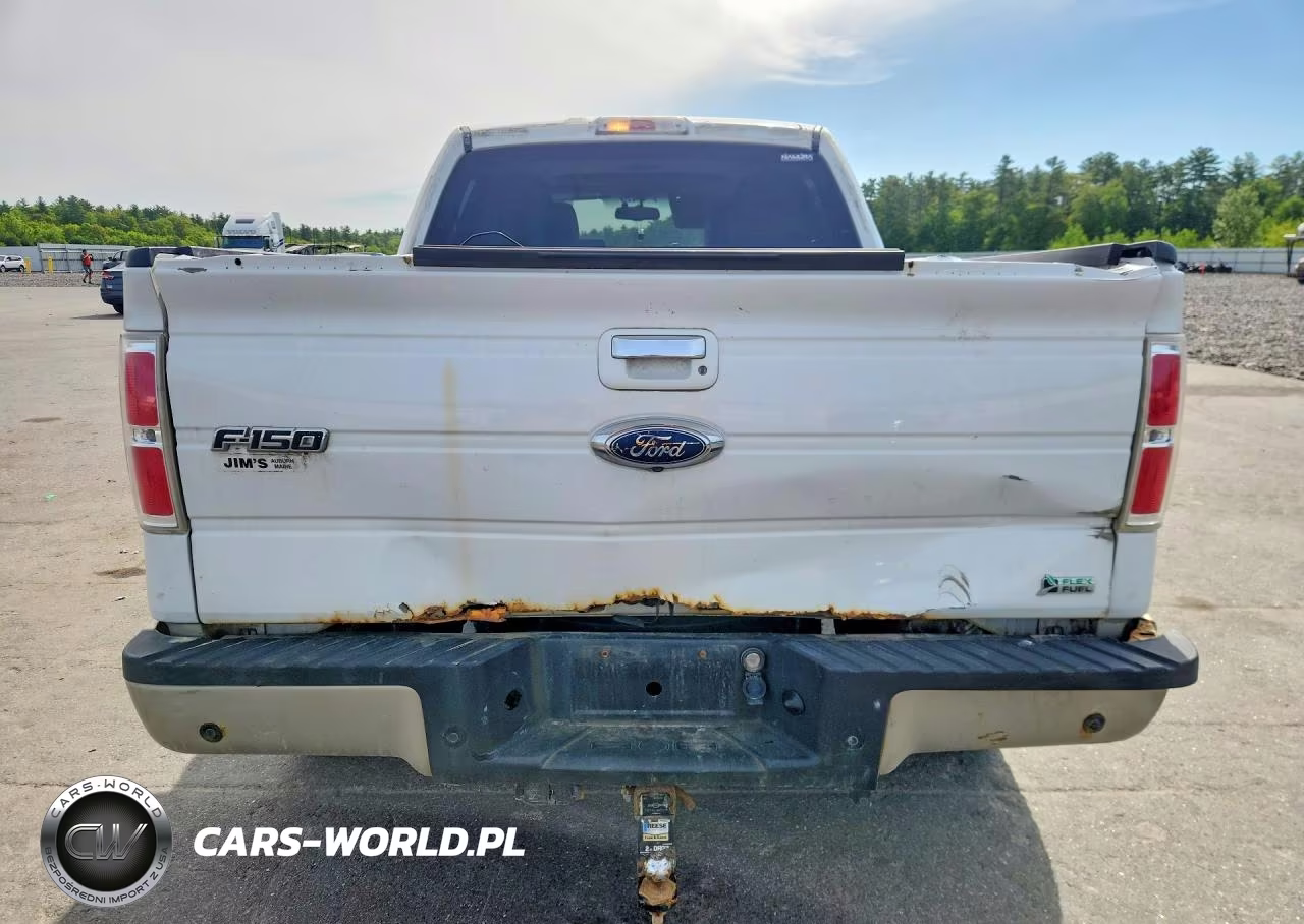 2010 Ford F150 Supercrew VIN:1FTFW1EV7AFB28219 - 6