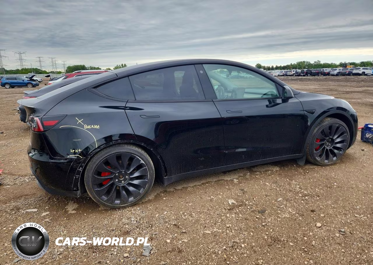 2023 Tesla Model Y VIN:7SAYGDEF7PF708666 - 3