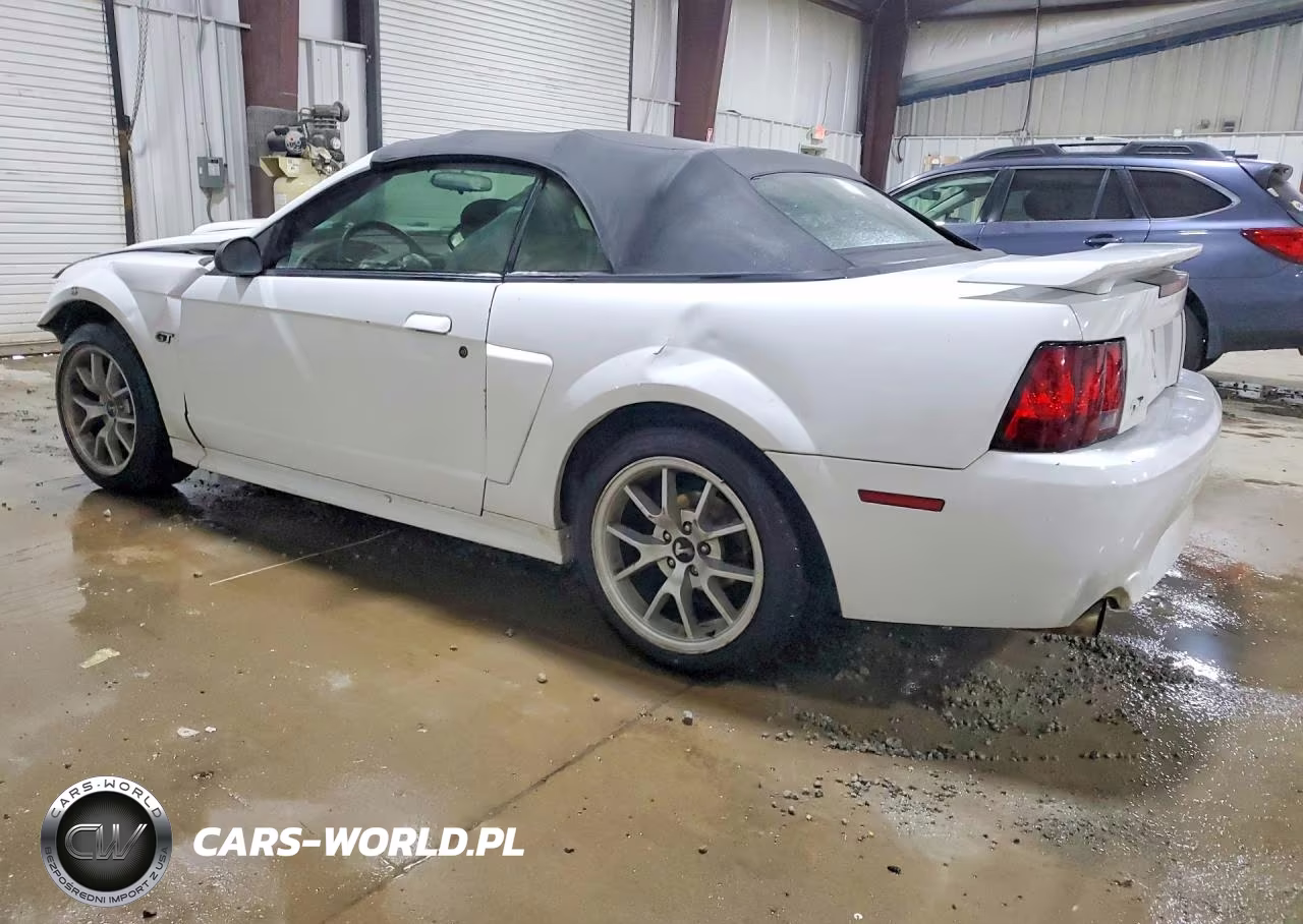 2003 Ford Mustang Gt VIN:1FAFP45X43F370958 - 2