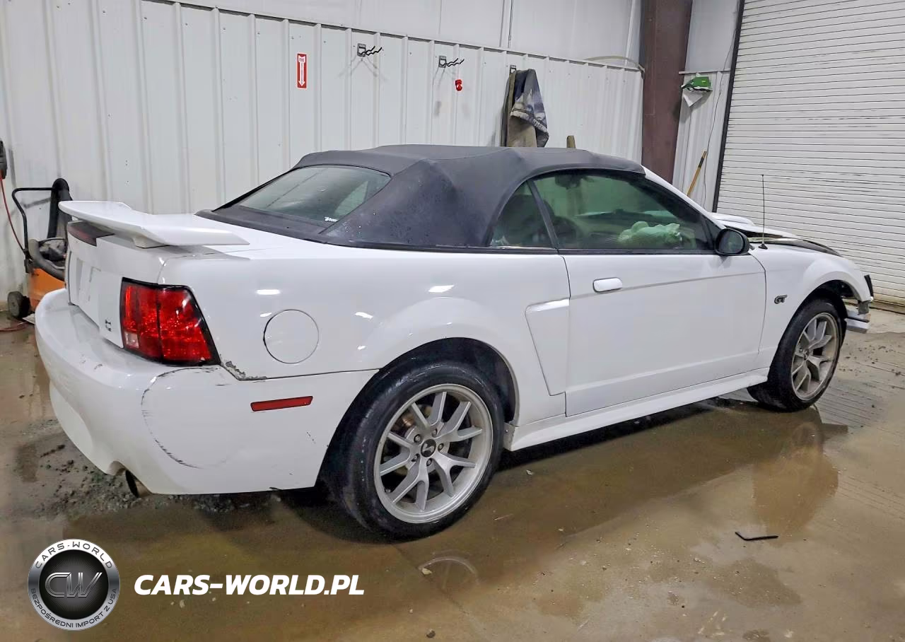 2003 Ford Mustang Gt VIN:1FAFP45X43F370958 - 3