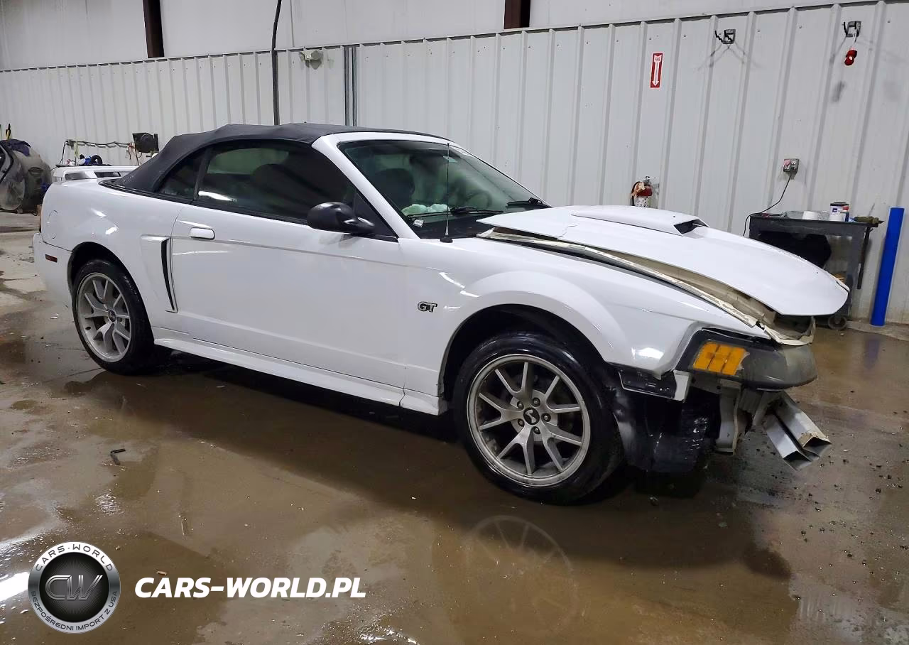 2003 Ford Mustang Gt VIN:1FAFP45X43F370958 - 4