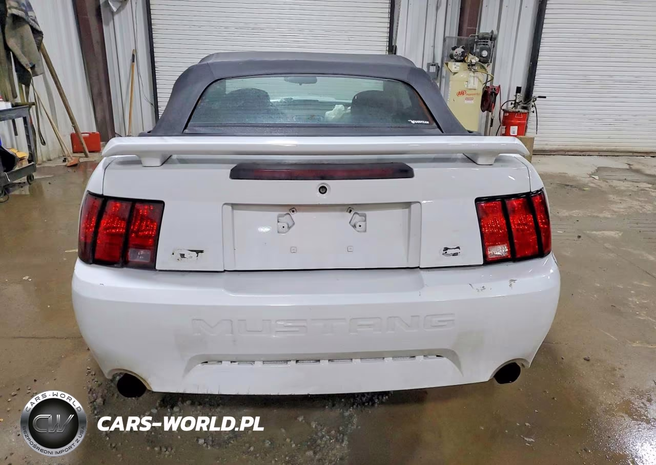2003 Ford Mustang Gt VIN:1FAFP45X43F370958 - 6