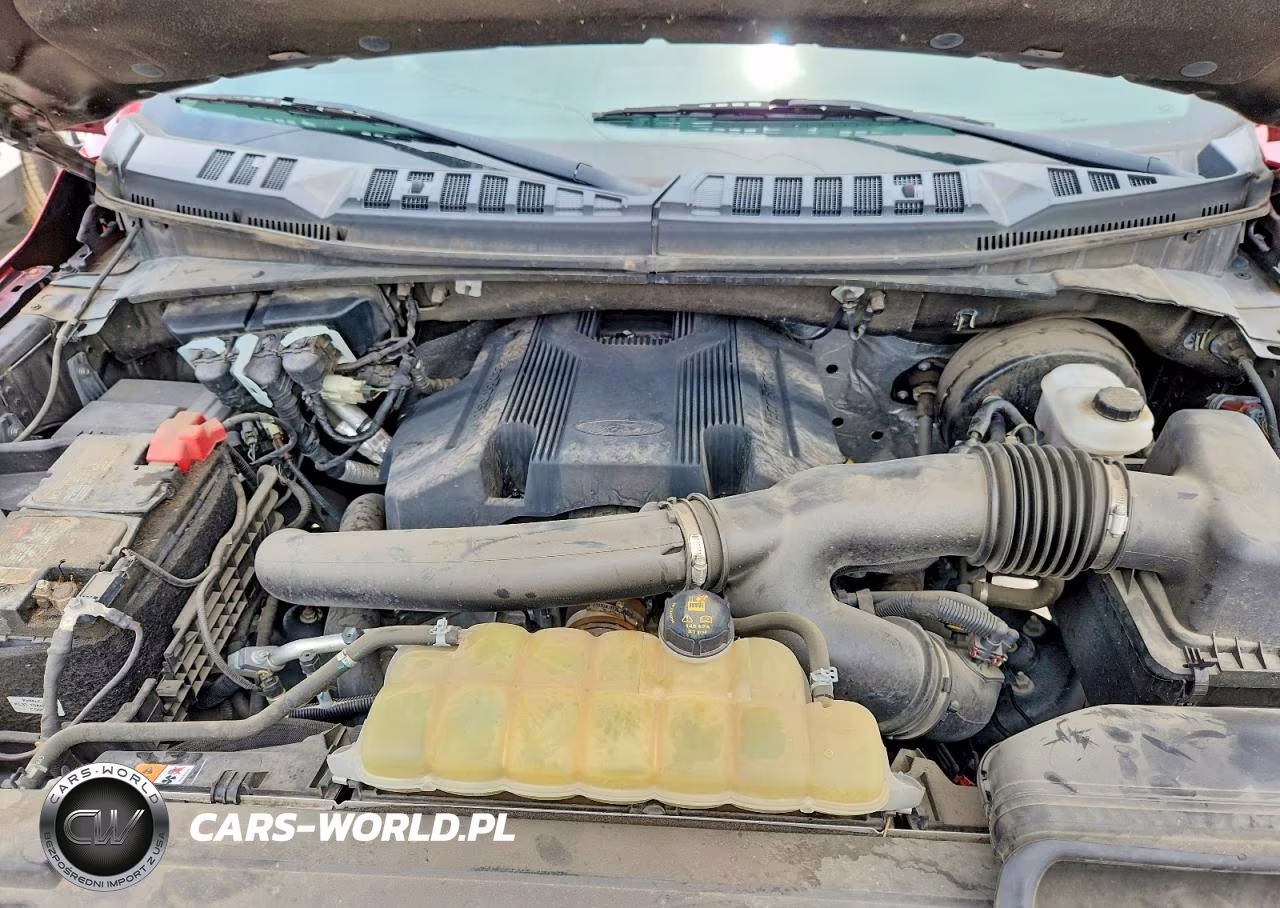 2020 Ford F150 Supercrew VIN:1FTEW1C48LKE36581 - 11