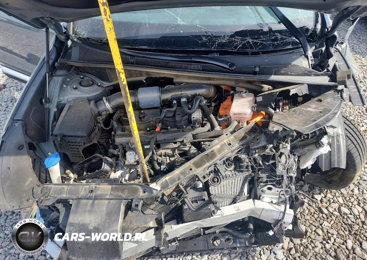 2023 Hyundai Santa Fe Limited VIN:5NMS5DA14PH007021 - 12