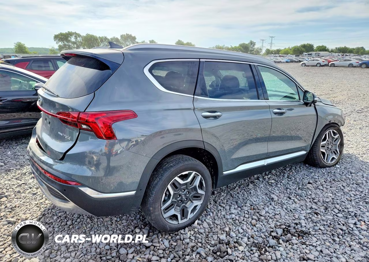 2023 Hyundai Santa Fe Limited VIN:5NMS5DA14PH007021 - 3