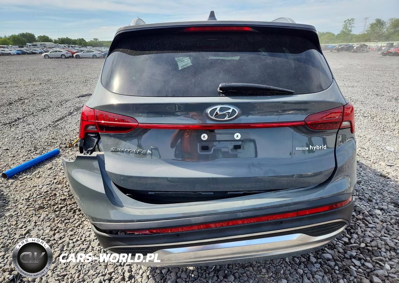 2023 Hyundai Santa Fe Limited VIN:5NMS5DA14PH007021 - 6
