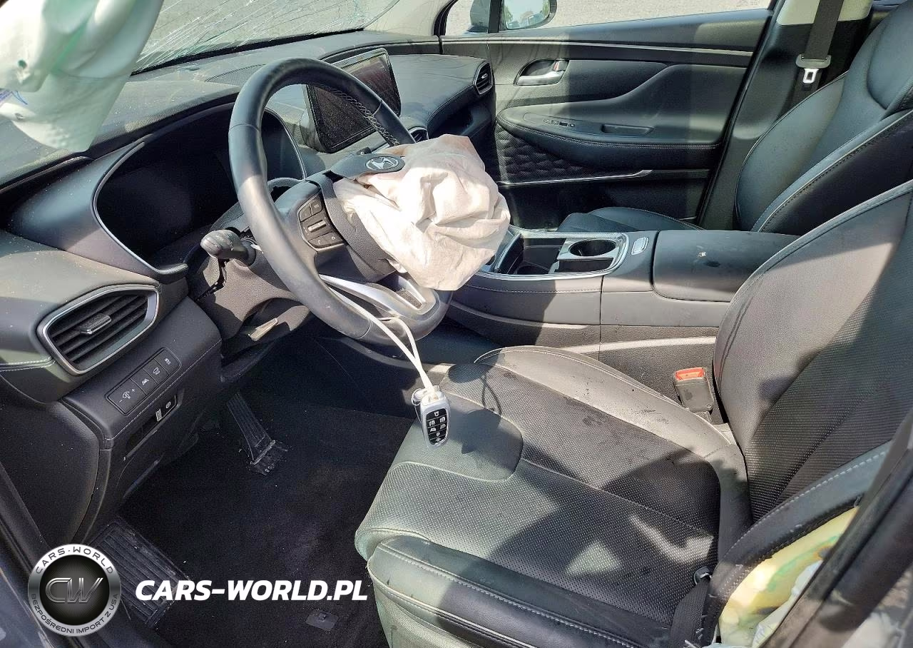 2023 Hyundai Santa Fe Limited VIN:5NMS5DA14PH007021 - 7