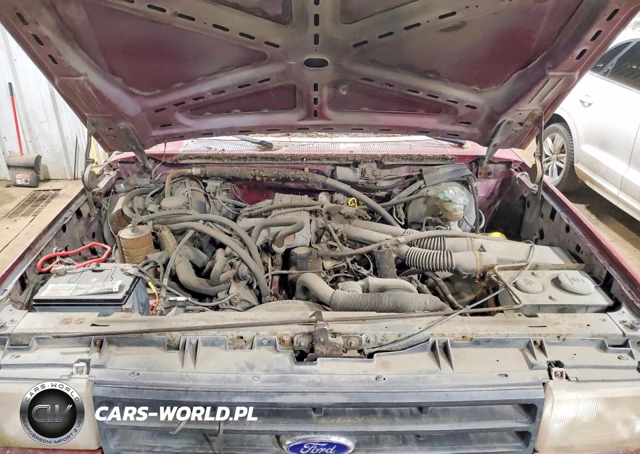 1988 Ford F150 VIN:1FTEF14Y0JKA96261 - 11