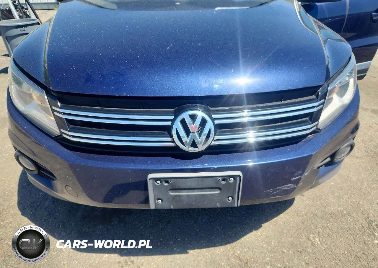 2015 Volkswagen Tiguan S VIN:WVGBV7AX8FW563104 - 11