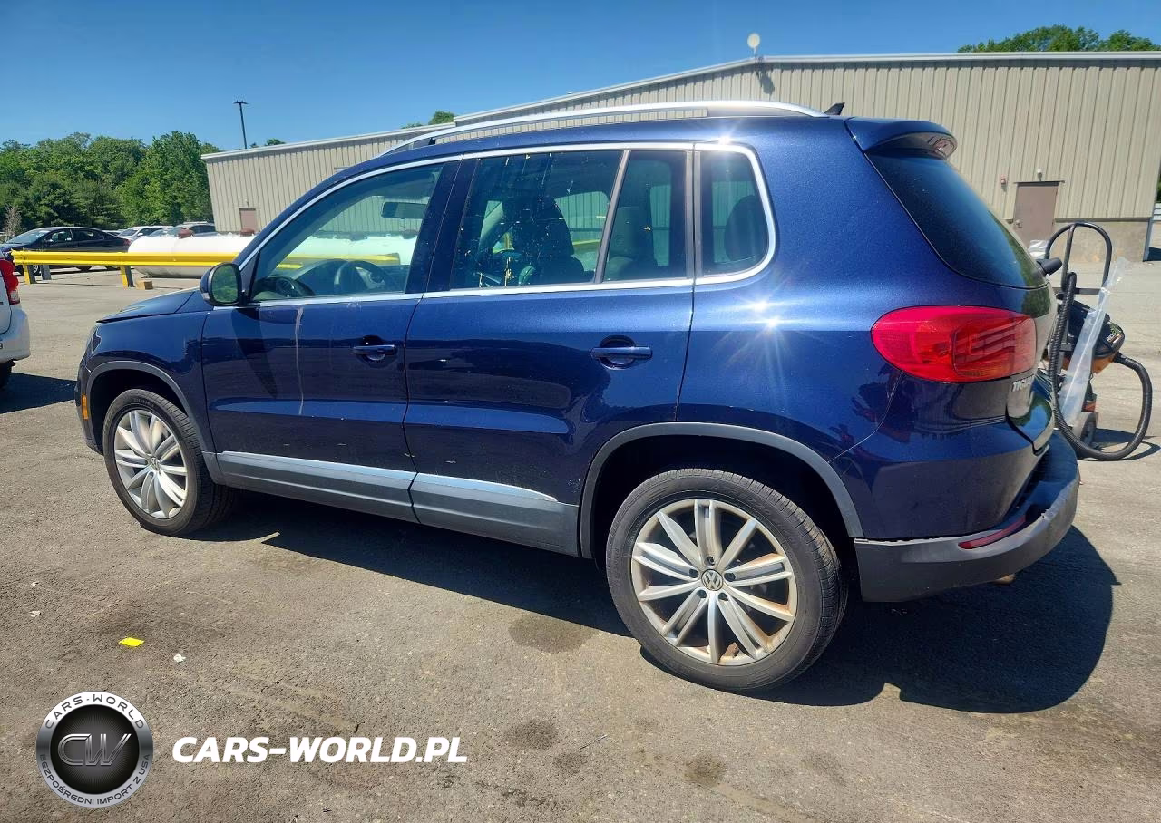 2015 Volkswagen Tiguan S VIN:WVGBV7AX8FW563104 - 2