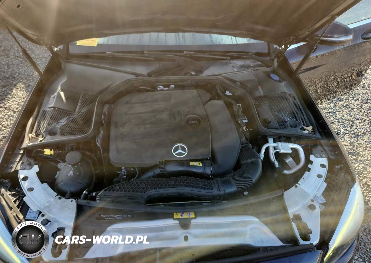 2019 Mercedes-Benz C 300 VIN:55SWF8DB7KU314069 - 11