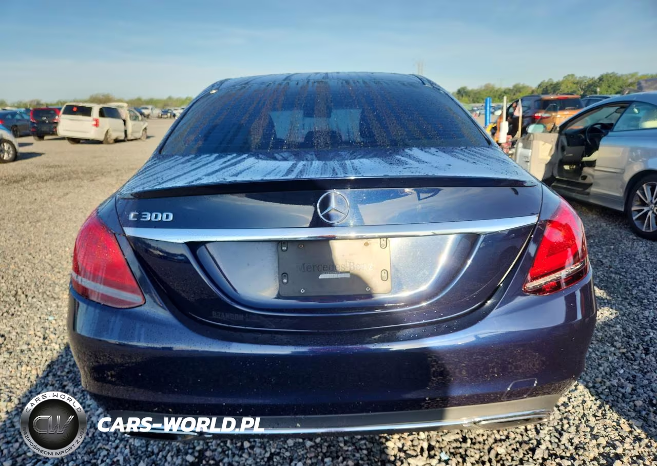 2019 Mercedes-Benz C 300 VIN:55SWF8DB7KU314069 - 6