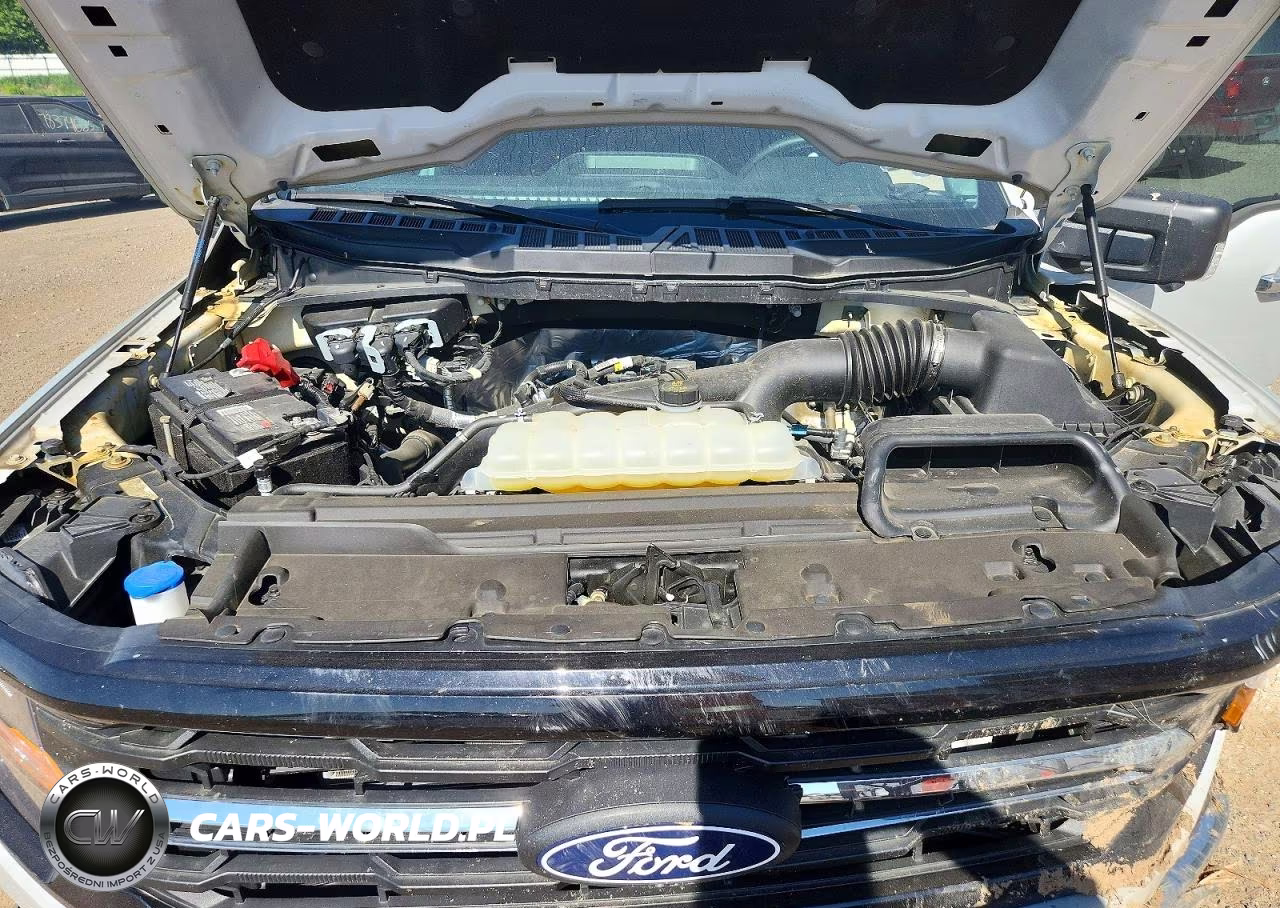 2024 Ford F150 Xlt VIN:1FTEW3LP0RFA28650 - 11