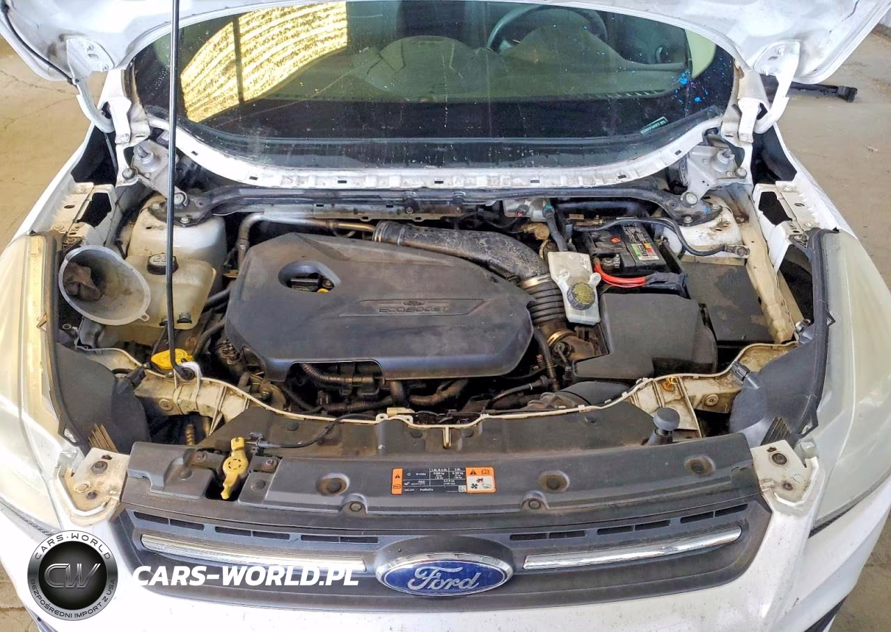 2015 Ford Escape Se VIN:1FMCU0GX3FUA63272 - 12